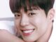 Download The Seasons: Park Bo Gum’s Cantabile Subtitle Indonesia
